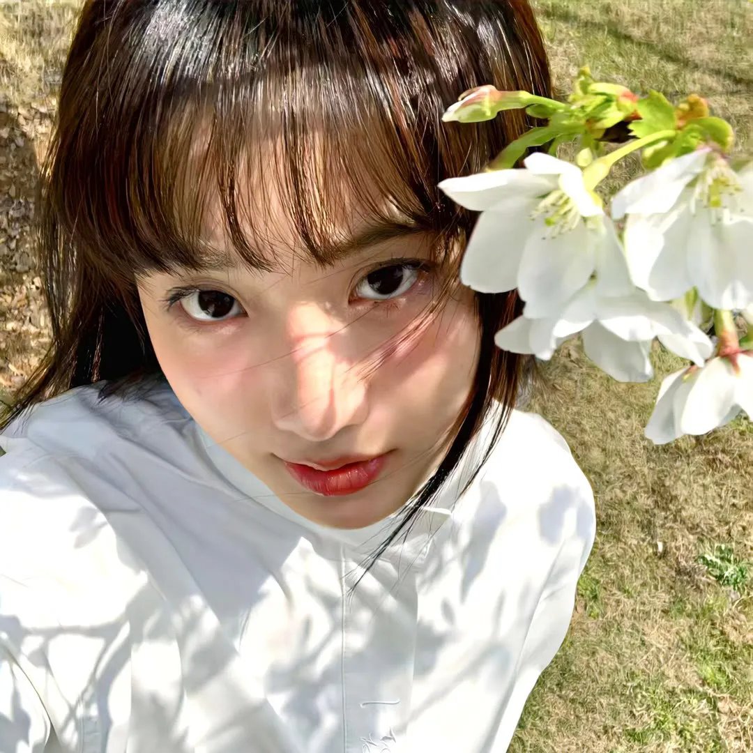 黑社会的墓场:腐朽之花